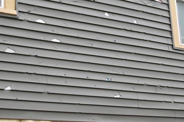 Affordable Siding Repair and Maintenance Services in Lakeland Highlands, FL